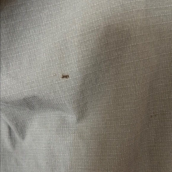 Vuori Green Cargo Pants with Drawstring Waist - Picture 4 of 4